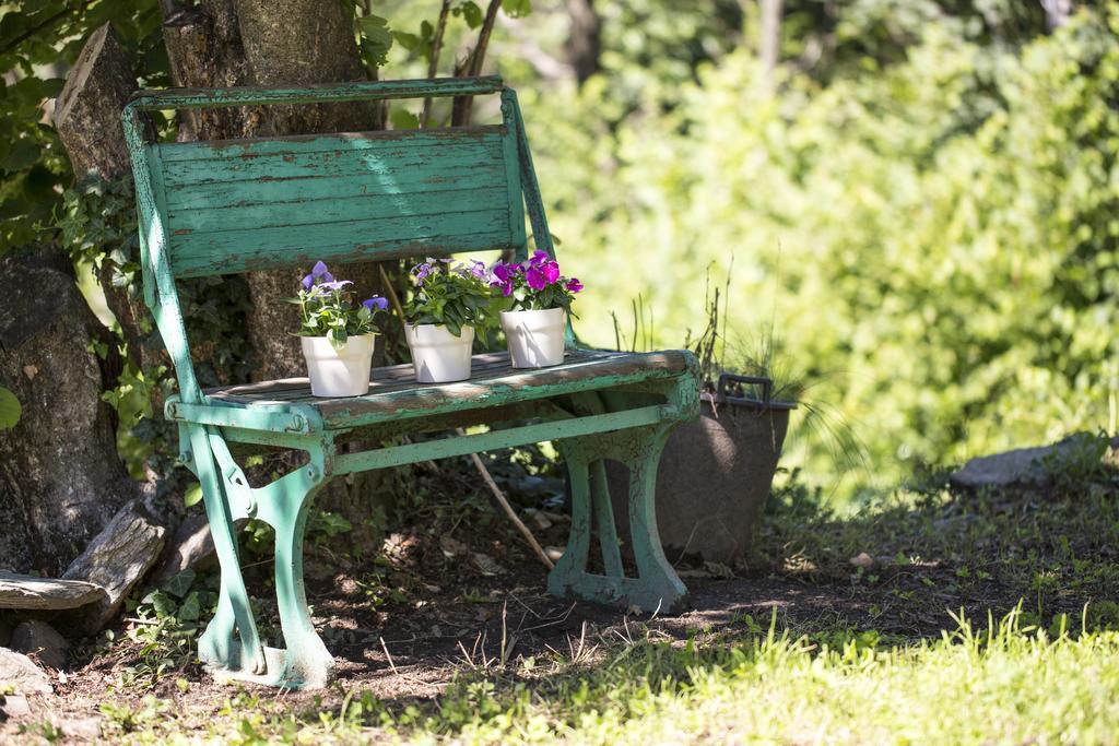 Agriturismo Rossolampone San Bernardino Verbano Eksteriør bilde